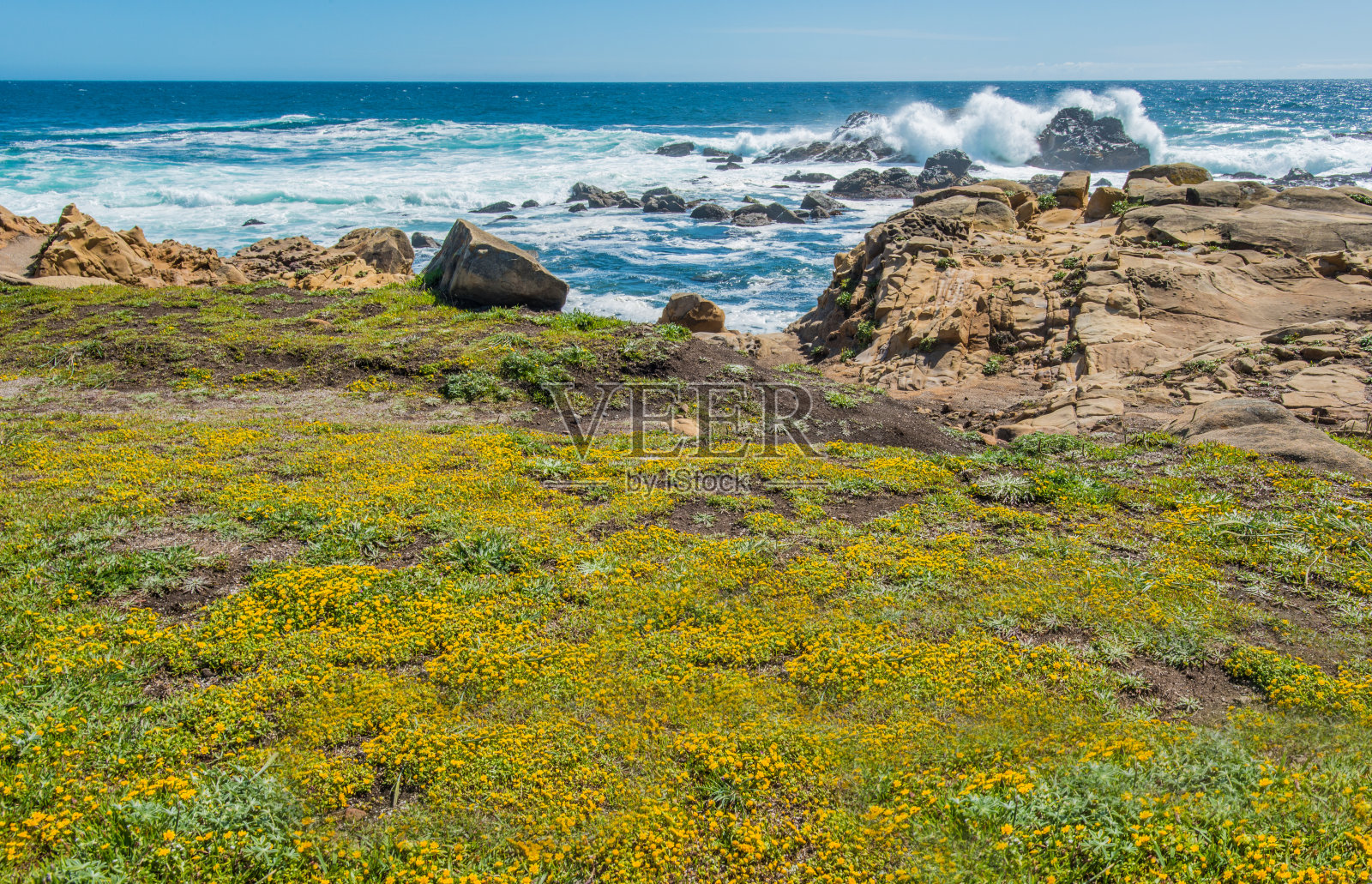 索诺玛县盐点州立公园的太平洋海浪拍打岩石照片摄影图片