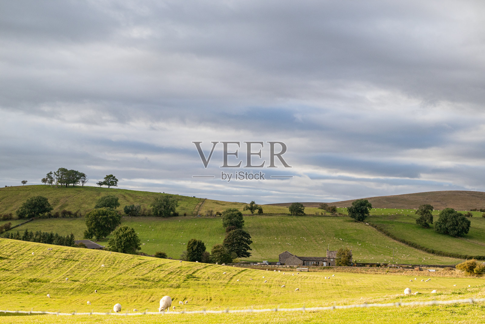 连绵起伏的山丘，绿油油的田野，零散的树木，还有多云天空下的农舍。照片摄影图片