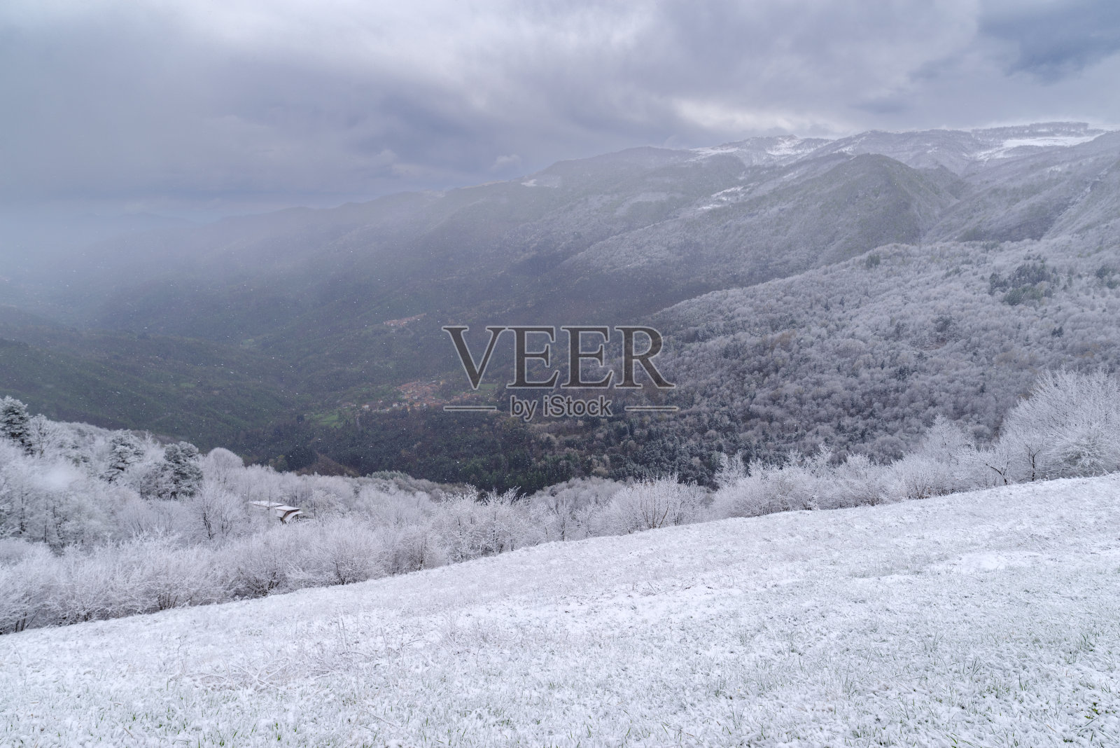 四月初春，意大利利古里亚阿尔卑斯山脉，一场不寻常的降雪后的山林照片摄影图片