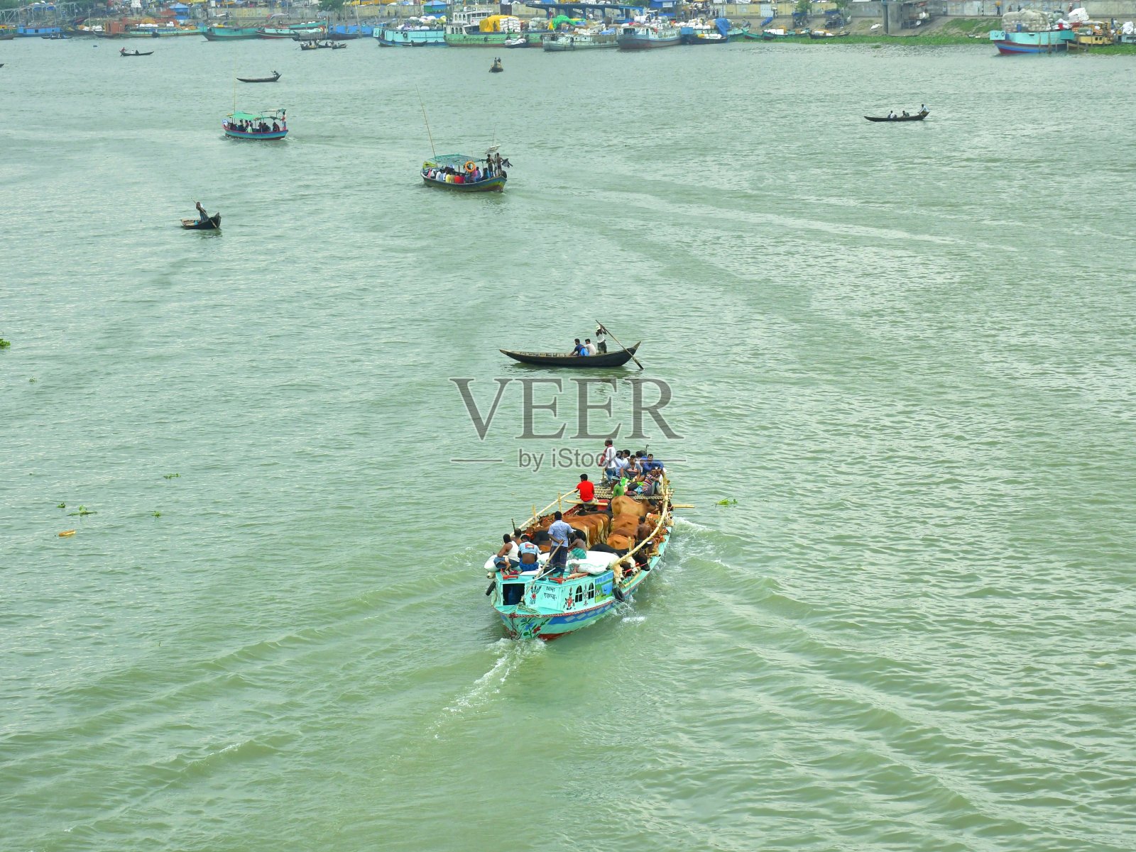 用船空运牲畜照片摄影图片
