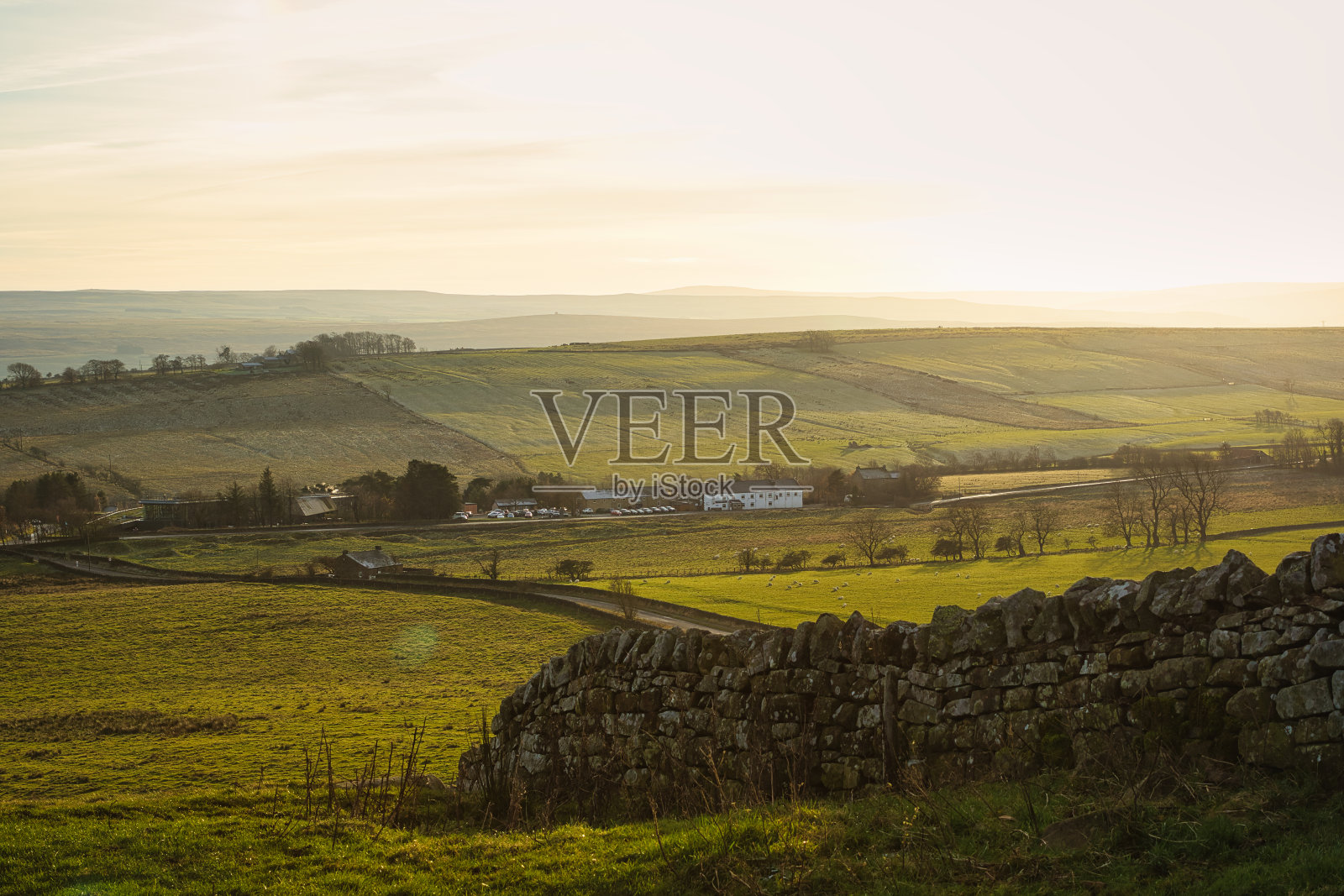 日出时宁静的乡村景观，起伏的山丘、石墙和温暖的光线，在英国诺森伯兰郡的Sycamore Gap。照片摄影图片