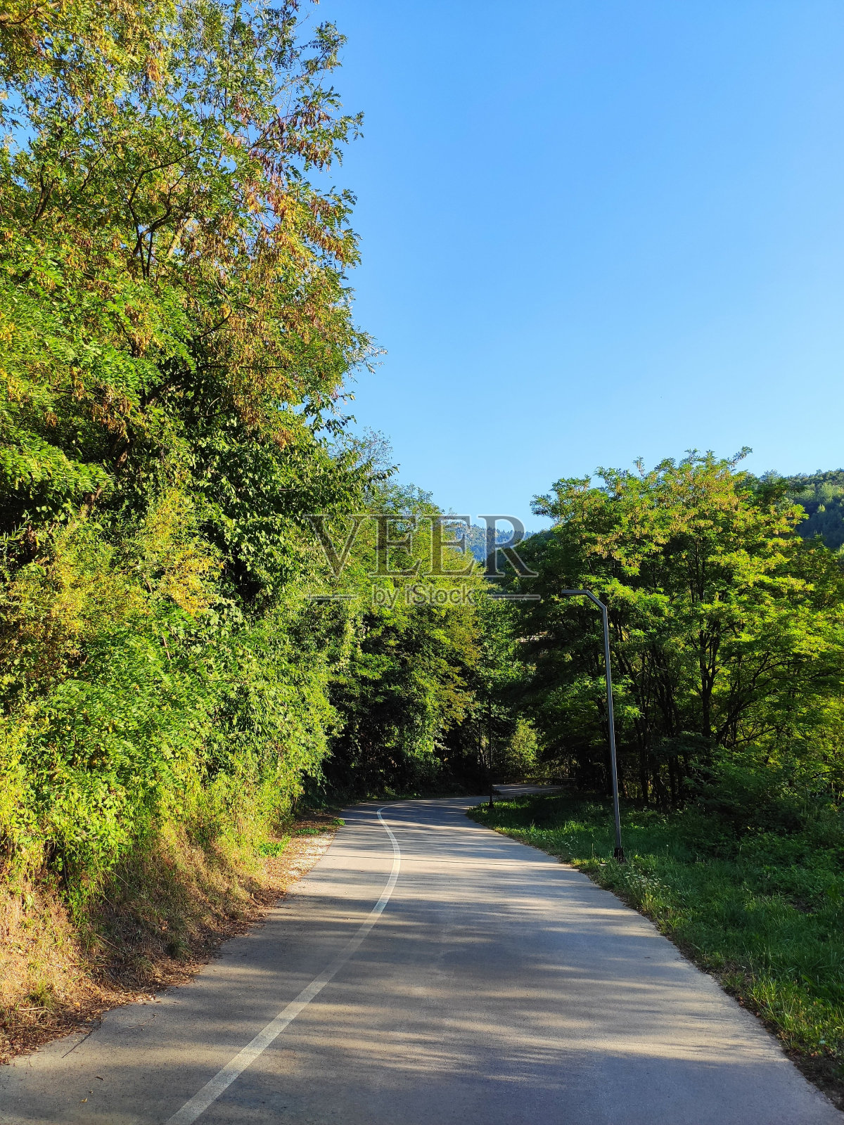 萨拉热窝老城区的达利瓦自然景观照片摄影图片