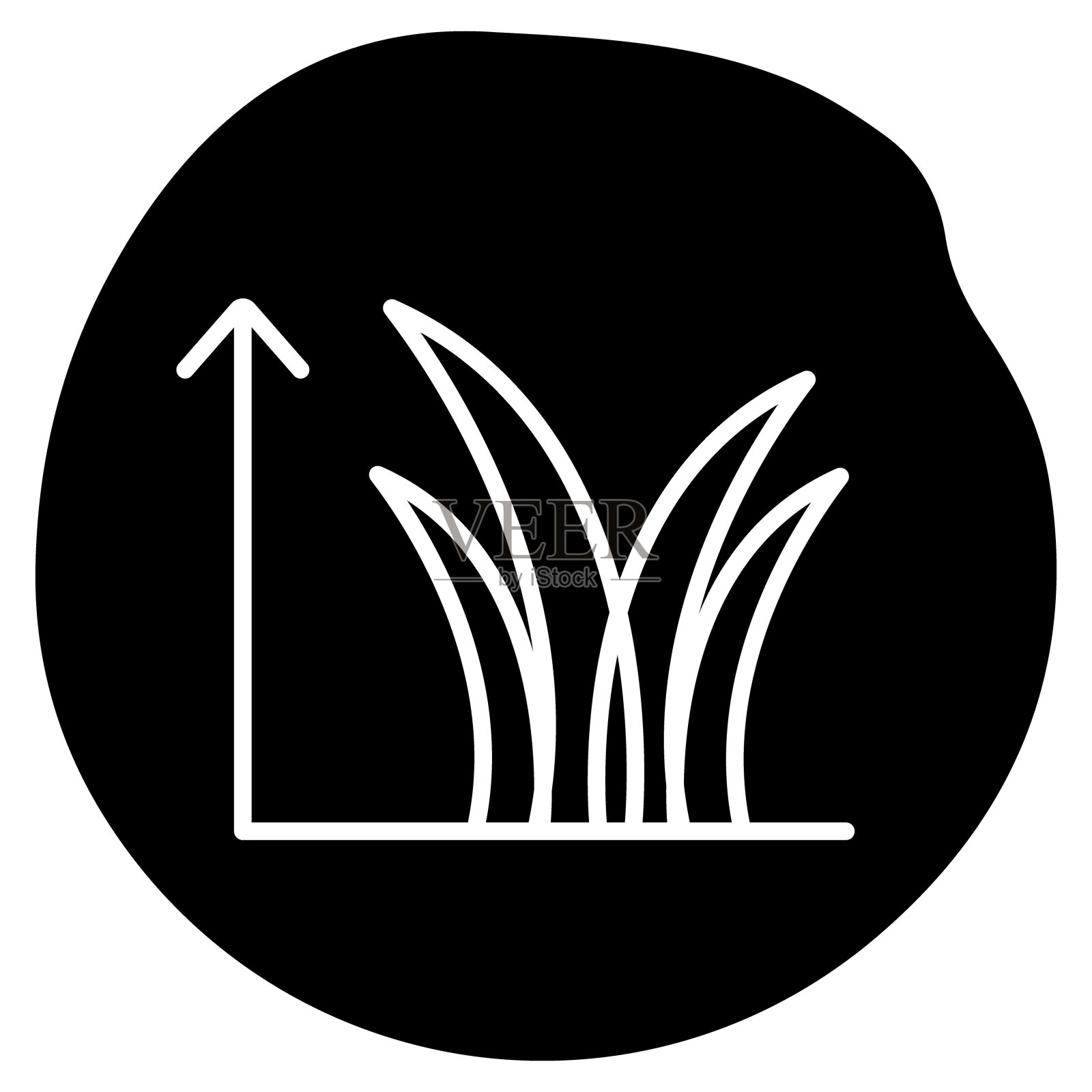 叶片高度图标设计。表示草高，叶片测量，草长，草坪护理。矢量图标。插画图片素材