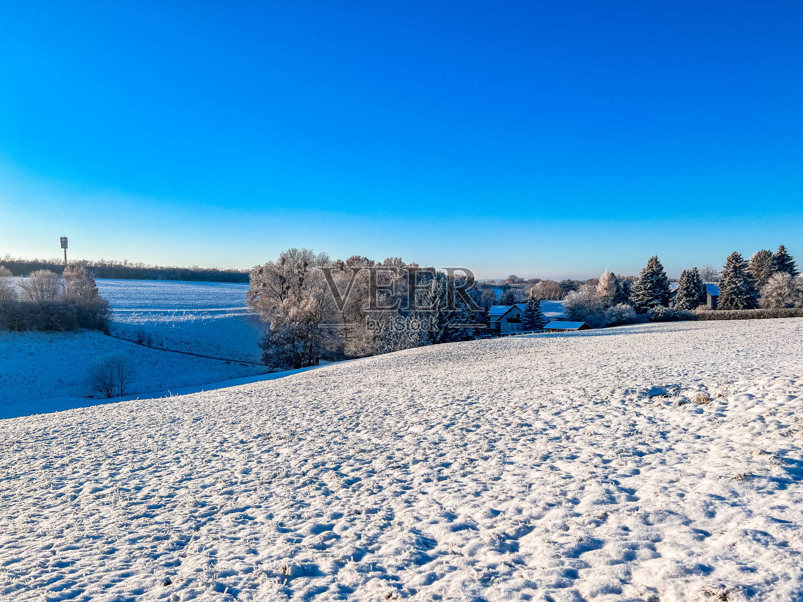 德国耶拿——郊外的雪景和动植物照片摄影图片