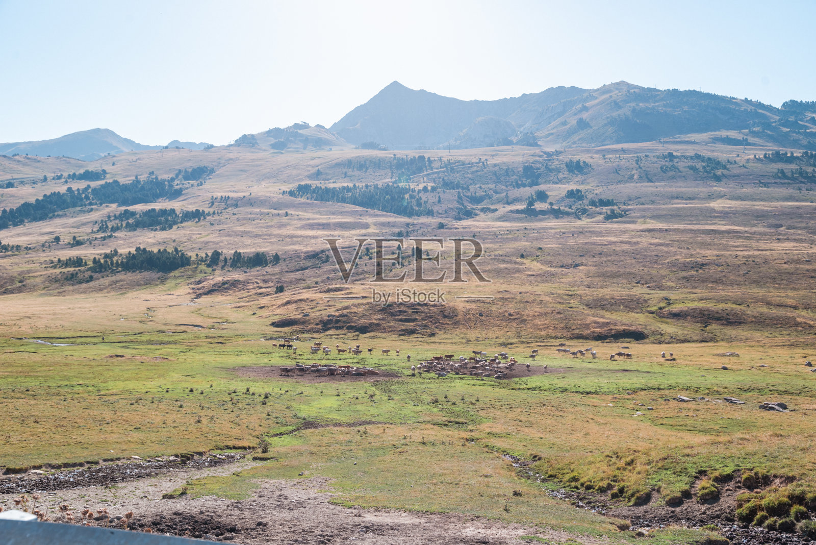 阿兰山谷令人叹为观止的景色，那里雄伟的山脉在晴朗的蓝天下升起，郁郁葱葱的绿色草地延伸到地平线。瀑布蜿蜒穿过景观，为这个自然场景增添了动感和宁静，捕捉到了纯净照片摄影图片