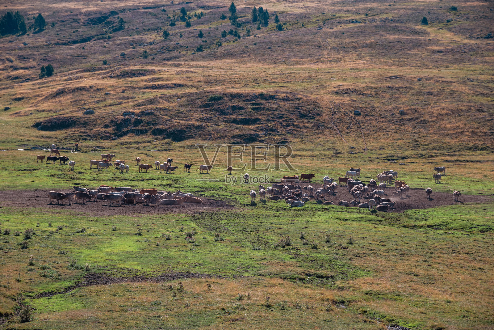 阿兰山谷令人叹为观止的景色，那里雄伟的山脉在晴朗的蓝天下升起，郁郁葱葱的绿色草地延伸到地平线。瀑布蜿蜒穿过景观，为这个自然场景增添了动感和宁静，捕捉到了纯净照片摄影图片