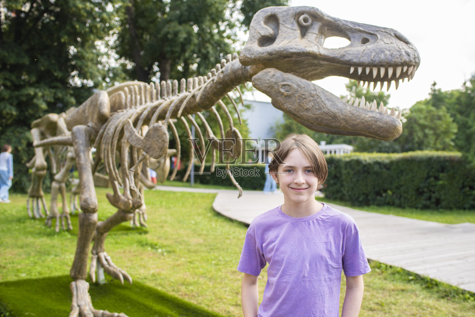 公园里，男孩在玩具恐龙骨架旁边照片摄影图片