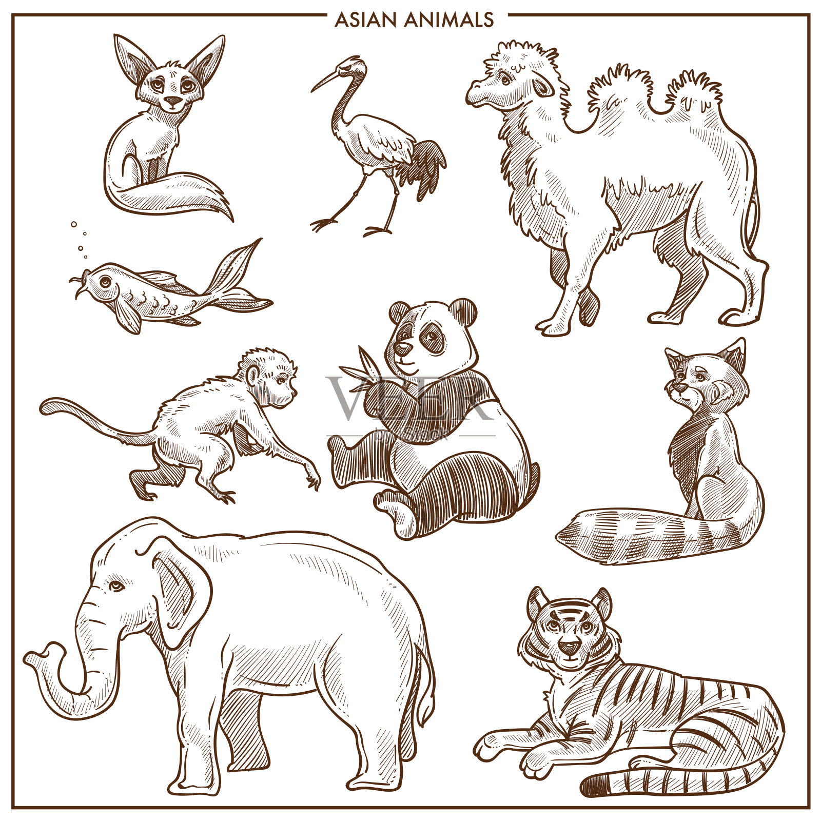 亚洲动物和鸟类矢量素描插画图片素材