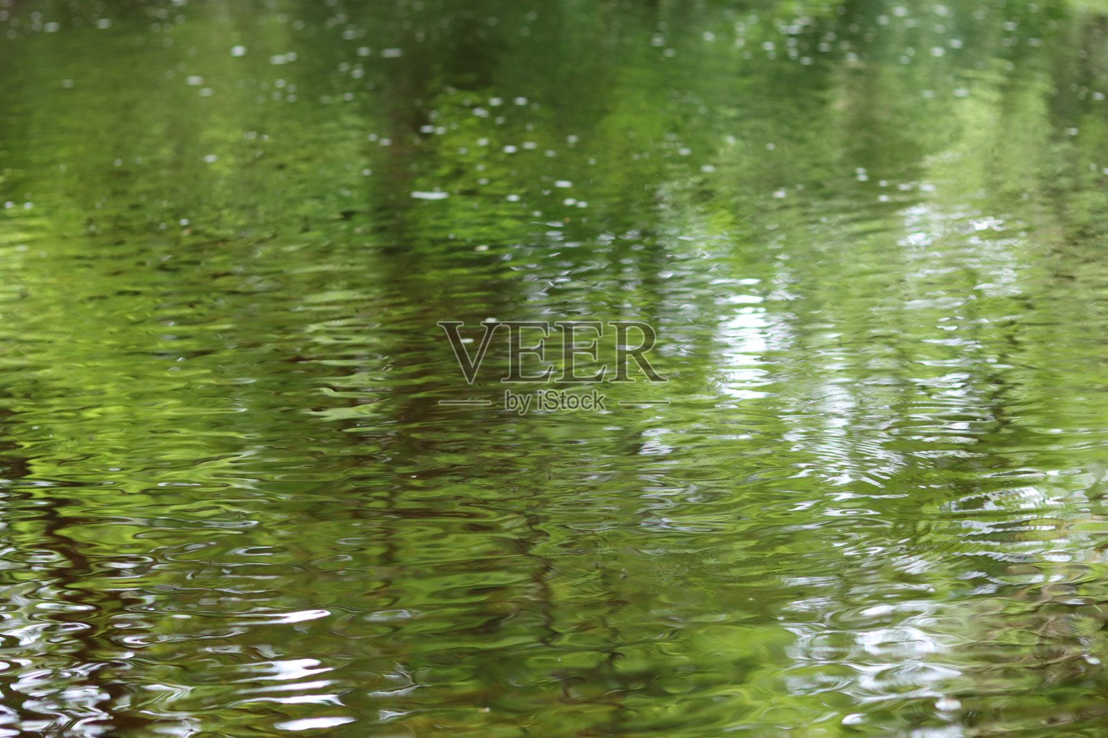 夏天林中河流的绿色倒影照片摄影图片