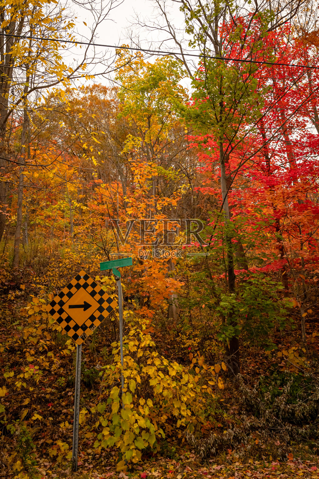 一条宁静的小路两旁的树木在秋天的光辉中闪耀照片摄影图片