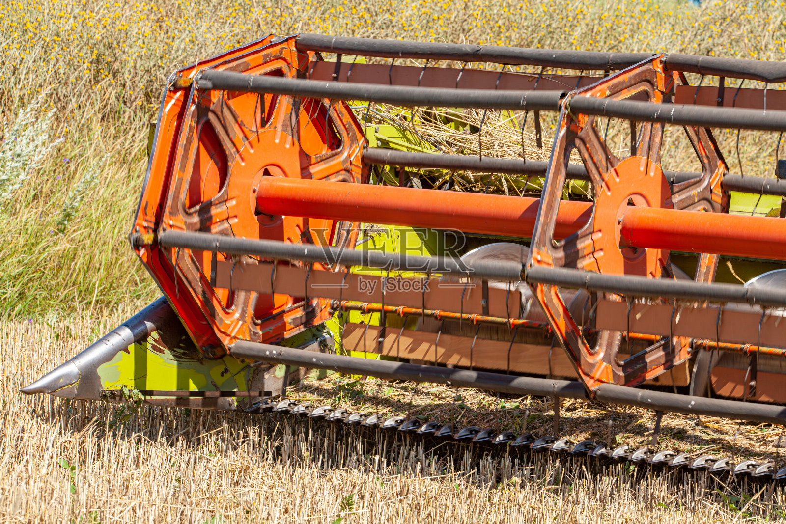 联合收割机在黑麦地里工作，收割谷物，夏季农业工作照片摄影图片