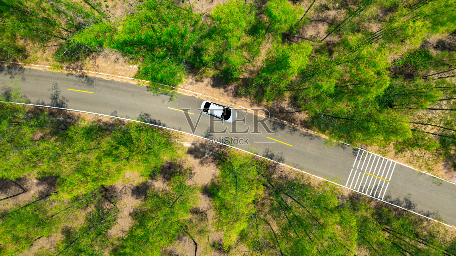 鸟瞰深绿色的森林道路和白色的电动车自然景观和高架道路探险旅行交通和环保理念照片摄影图片