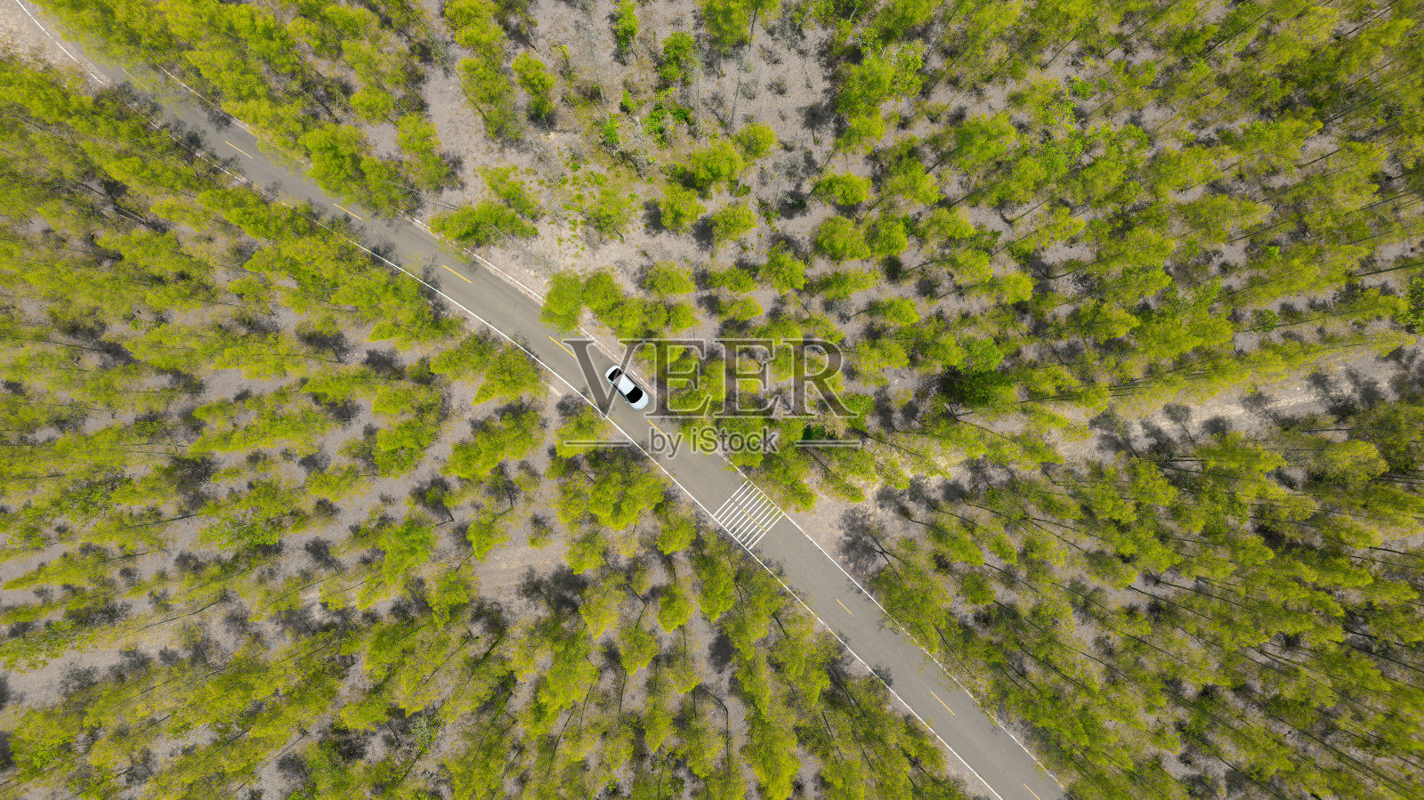 鸟瞰深绿色的森林道路和白色的电动车自然景观和高架道路探险旅行交通和环保理念照片摄影图片