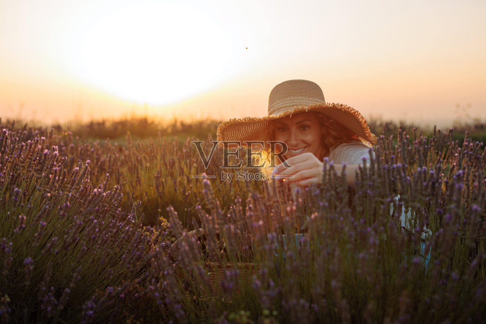 一个女人在薰衣草地里享受自己照片摄影图片