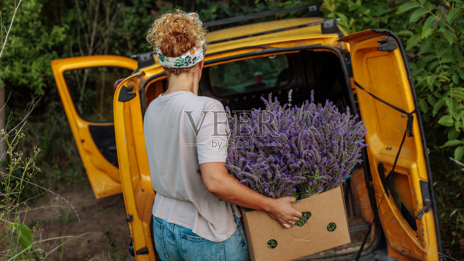 一位女农民正在把一盒薰衣草放进一辆面包车里照片摄影图片