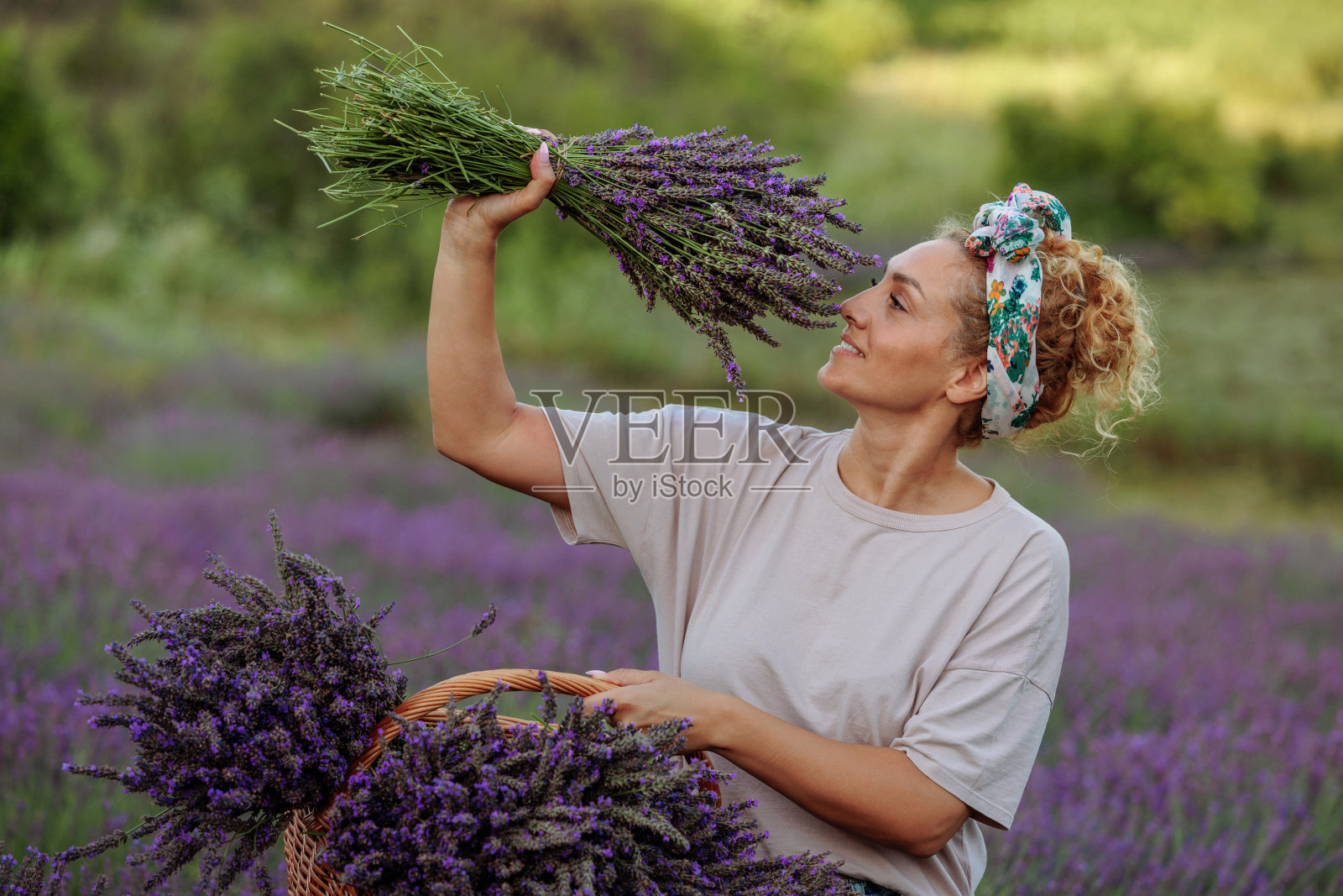 在盛开的田野里欣赏薰衣草的女人照片摄影图片
