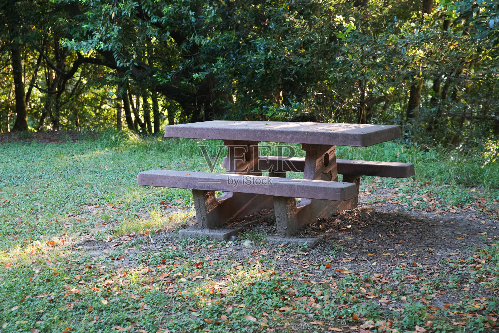 夏天露营地的野餐桌照片摄影图片