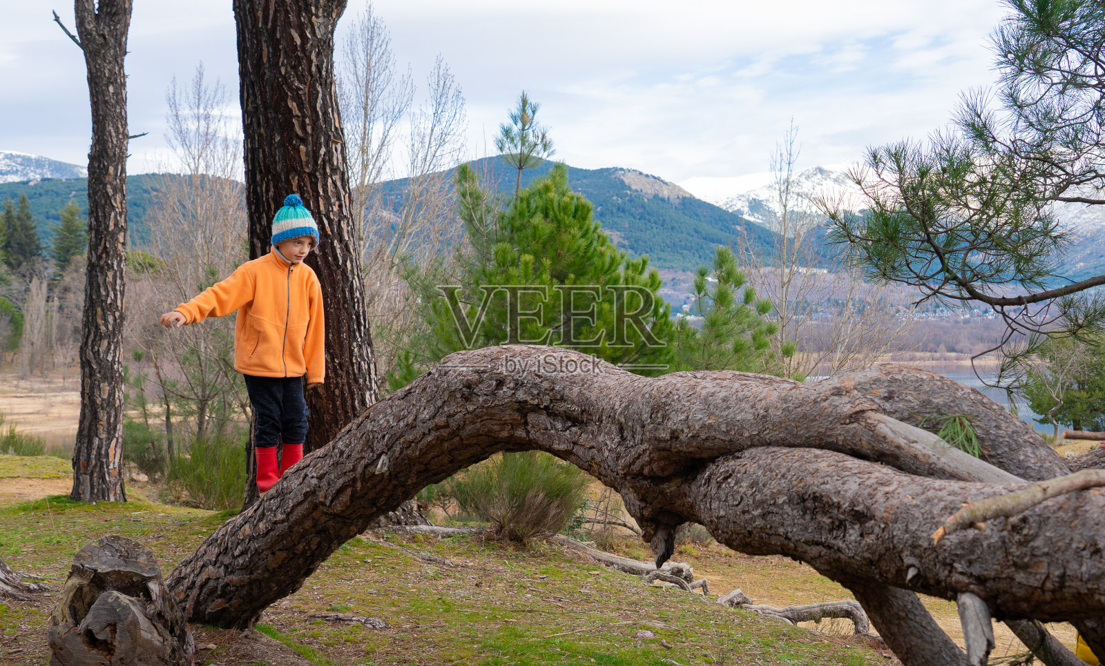 男孩在一个寒冷的日子里爬上一棵倒下的树的树干，背景是雪山照片摄影图片