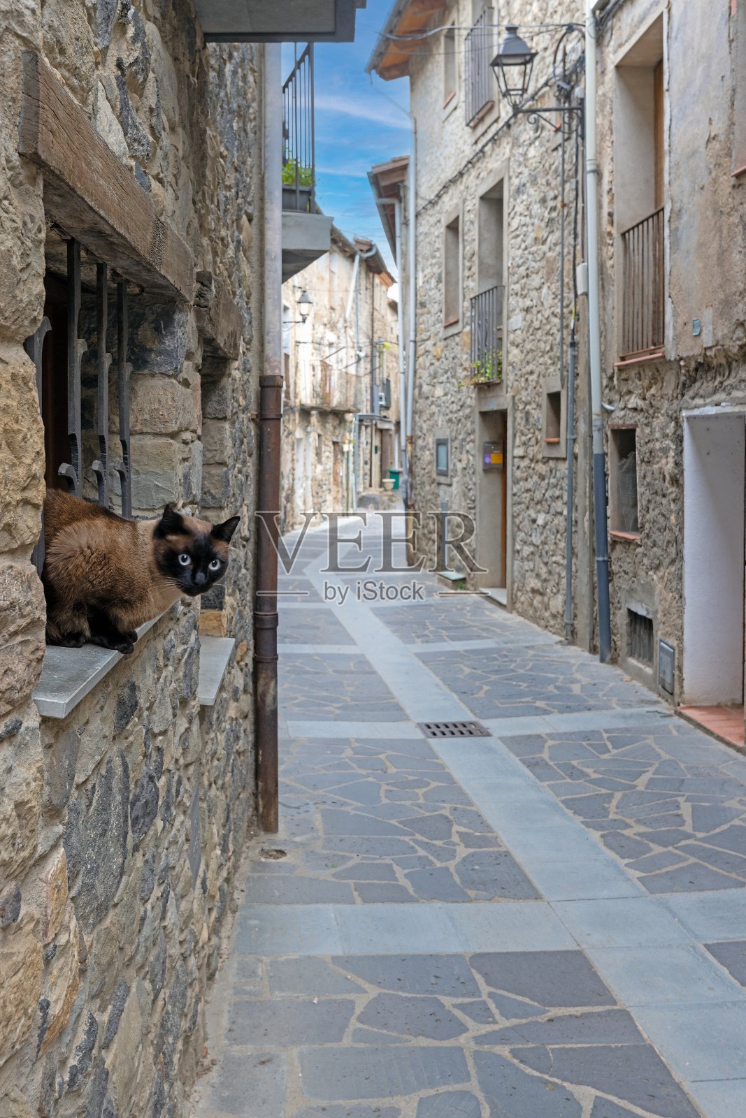 废弃的历史悠久的加泰罗尼亚小镇Castellfollit de la Roca的街景照片摄影图片