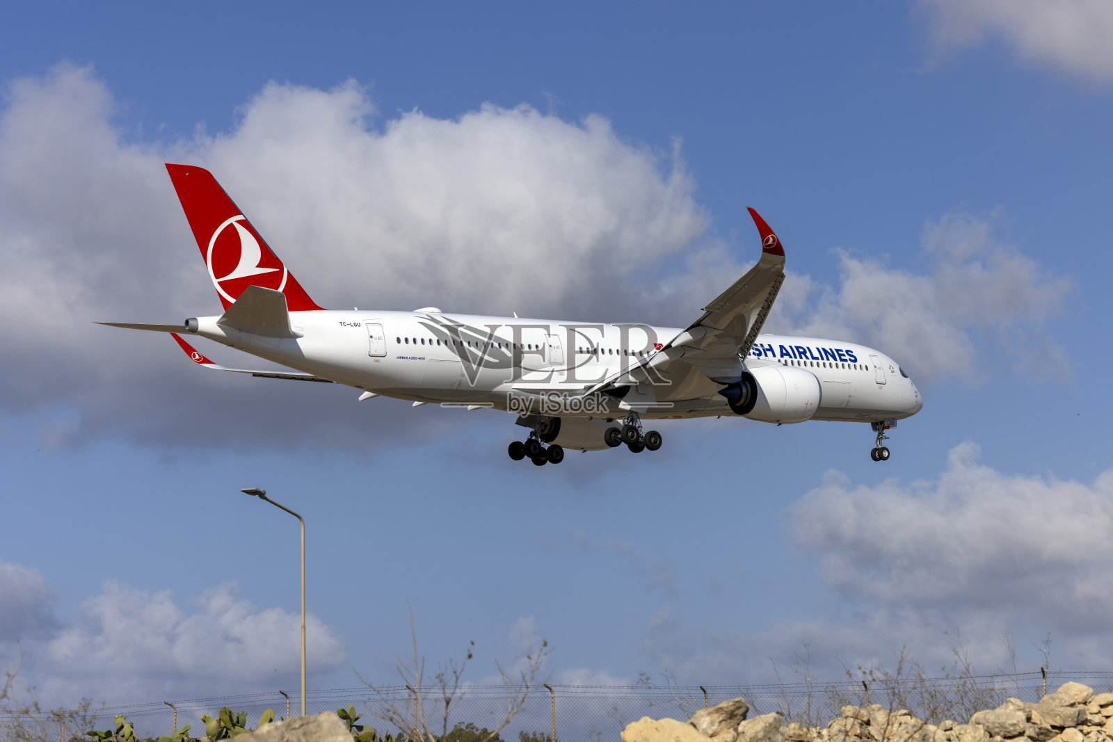 土耳其航空A350-900照片摄影图片