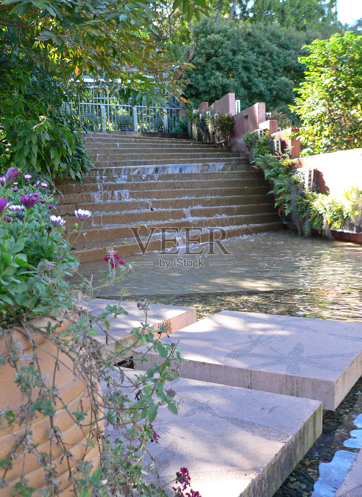 水流沿着台阶向下流动，周围环绕着植物照片摄影图片