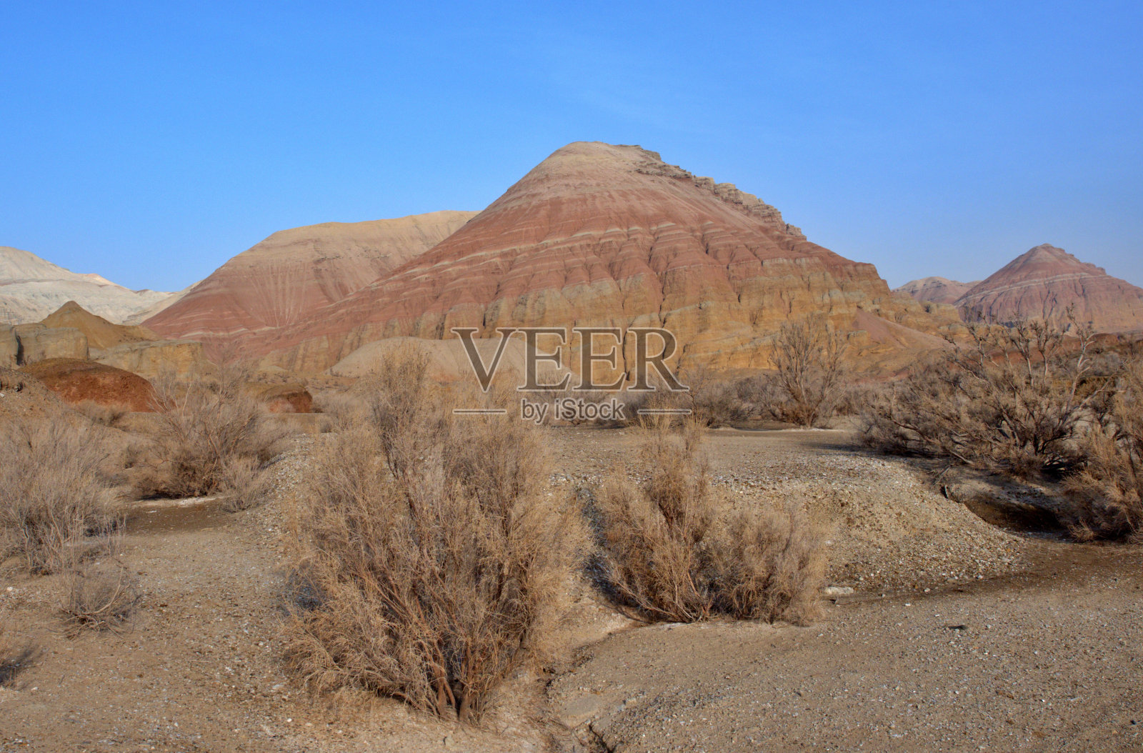 彩色沙漠和灌木照片摄影图片