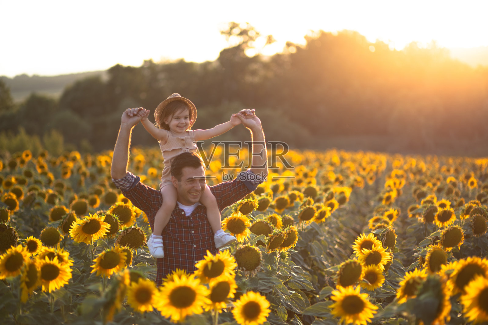 帅哥看着葵花和女儿在田野里的照片照片摄影图片