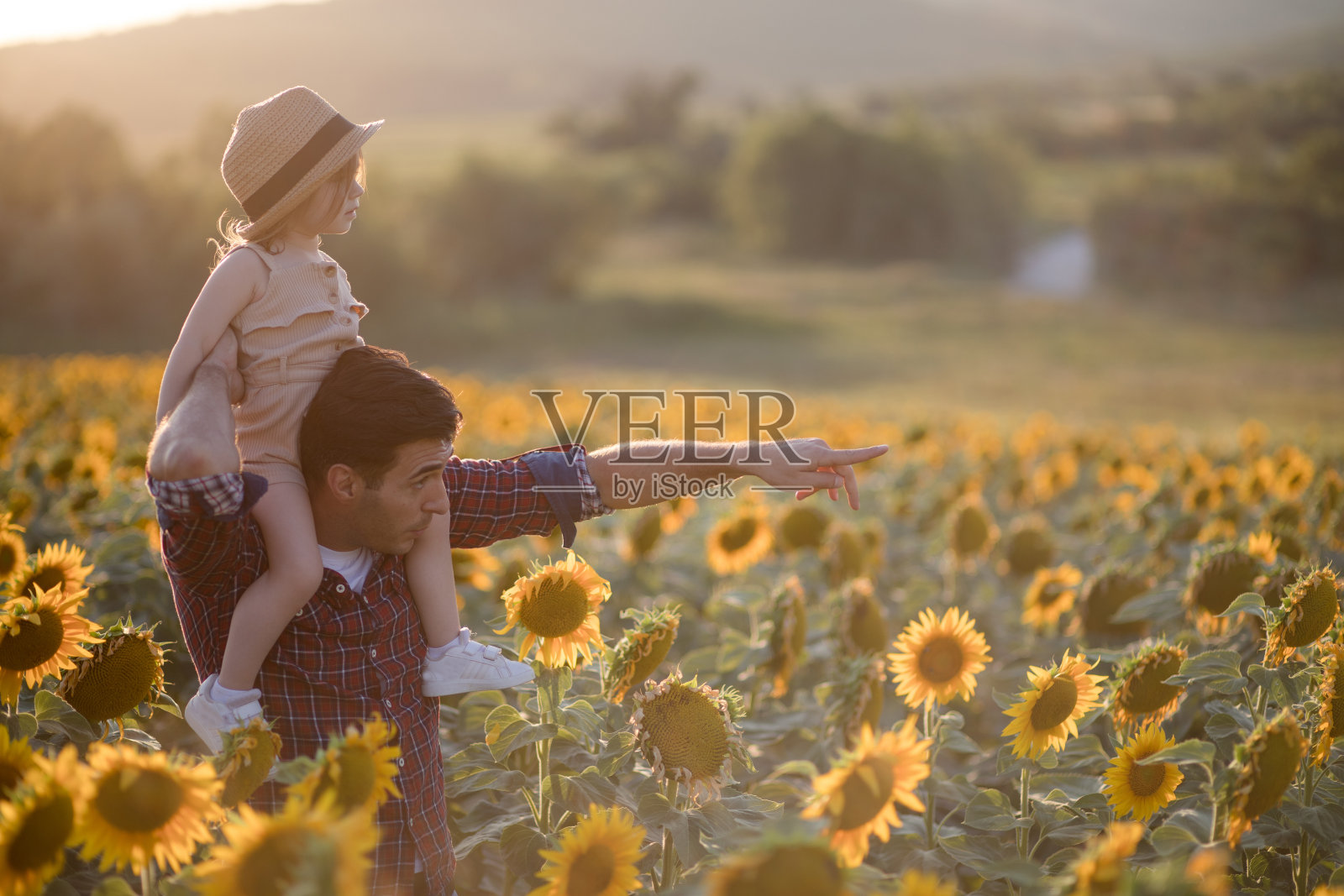 帅哥看着葵花和女儿在田野里的照片照片摄影图片