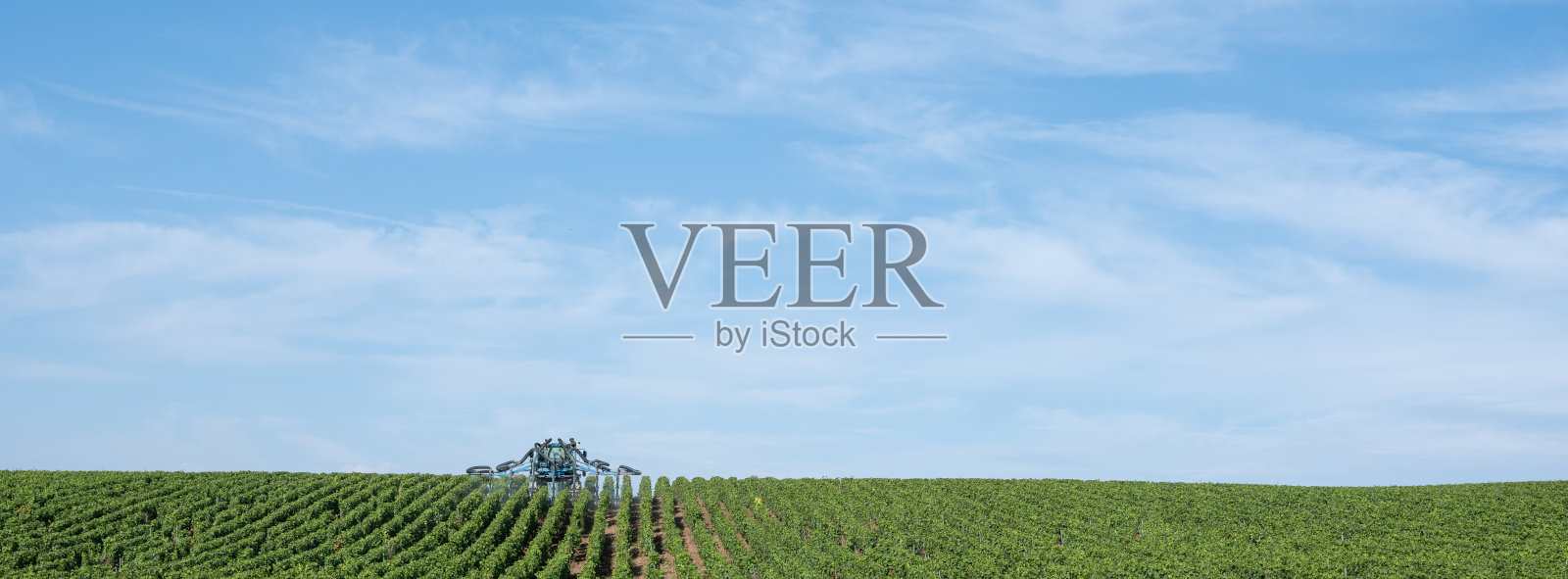 香槟区埃佩尔内附近的葡萄园正在用跨式拖拉机喷洒照片摄影图片