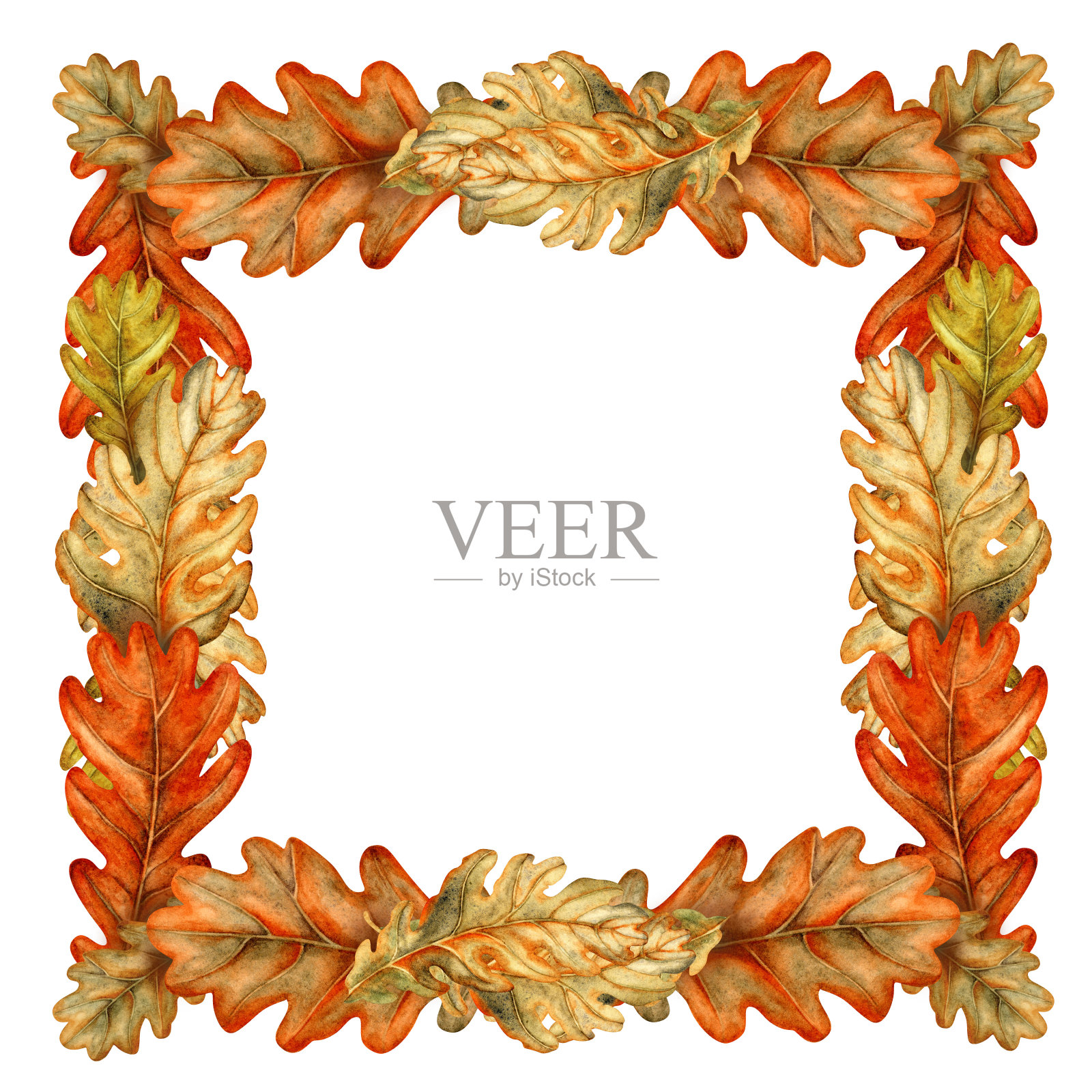 秋天橡树叶的框架。水彩插图的方形模板在橙色，红色，棕色的颜色，手绘。自然叶纹理收获节日，证书，奖项，菜单，邀请插画图片素材