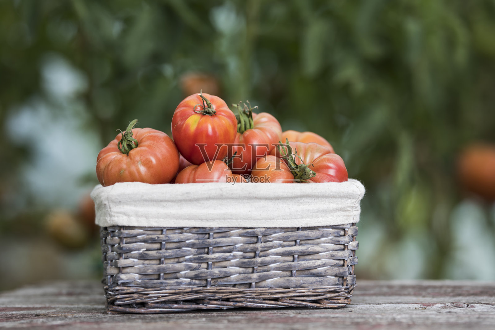 蔬菜，西红柿，在花园的桌子上照片摄影图片