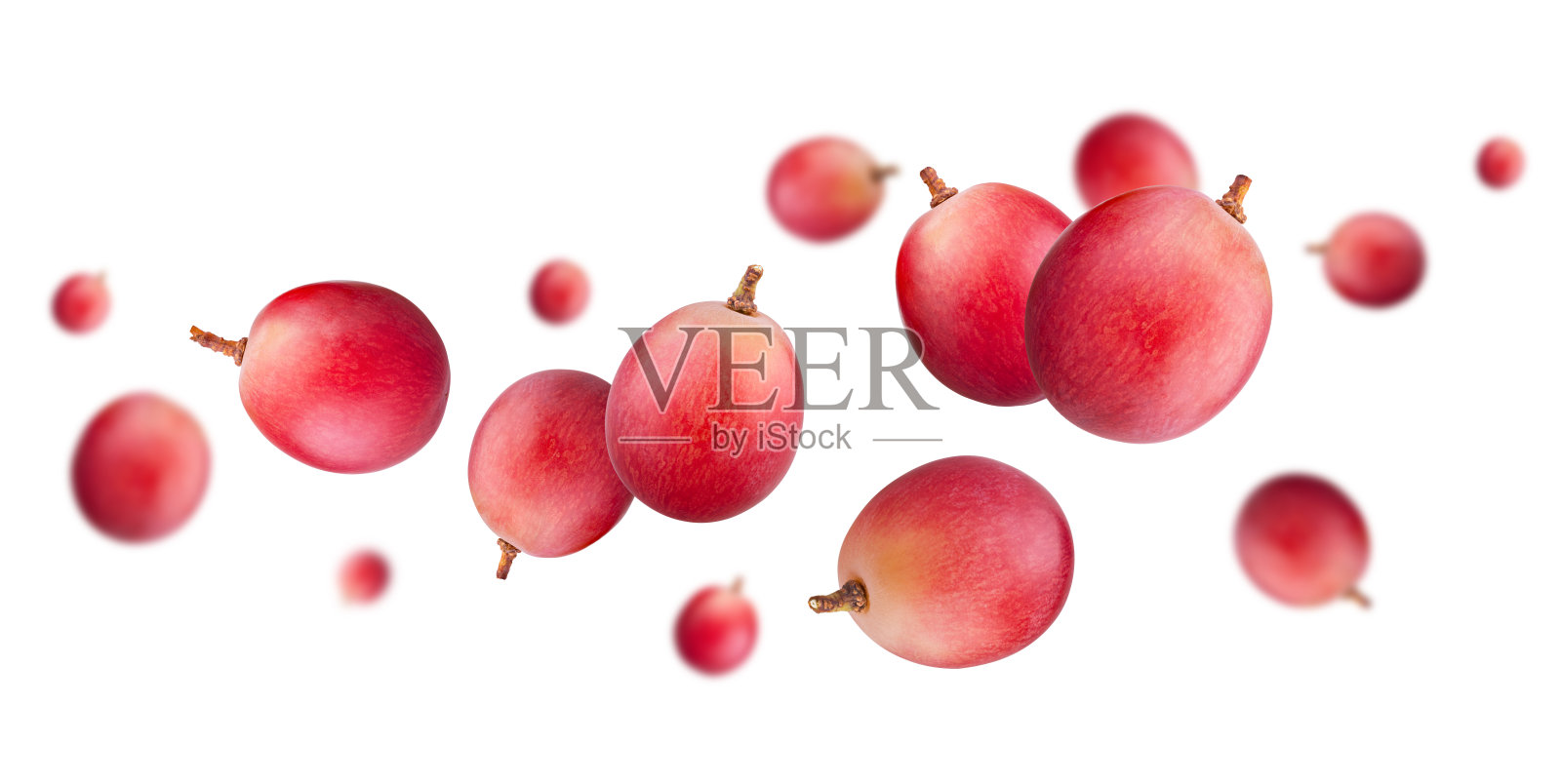 红葡萄浆果在太空中飞行和漂浮。孤立于白色照片摄影图片