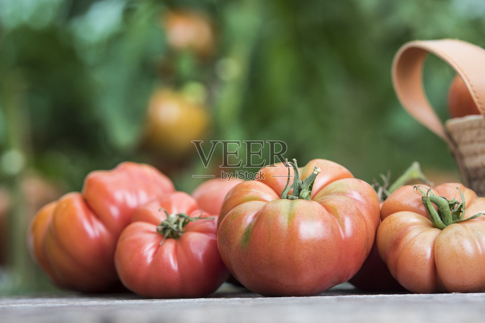 蔬菜，西红柿，在花园的桌子上照片摄影图片