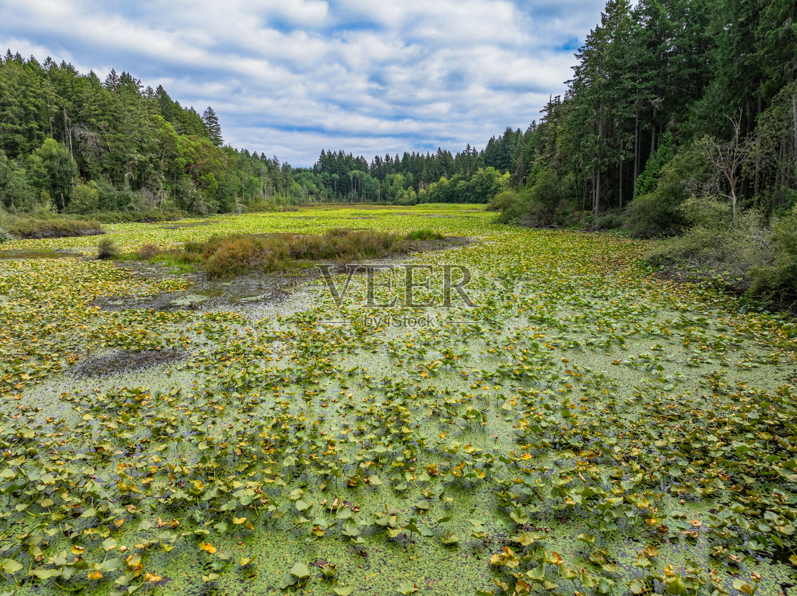 无人渔池照片摄影图片
