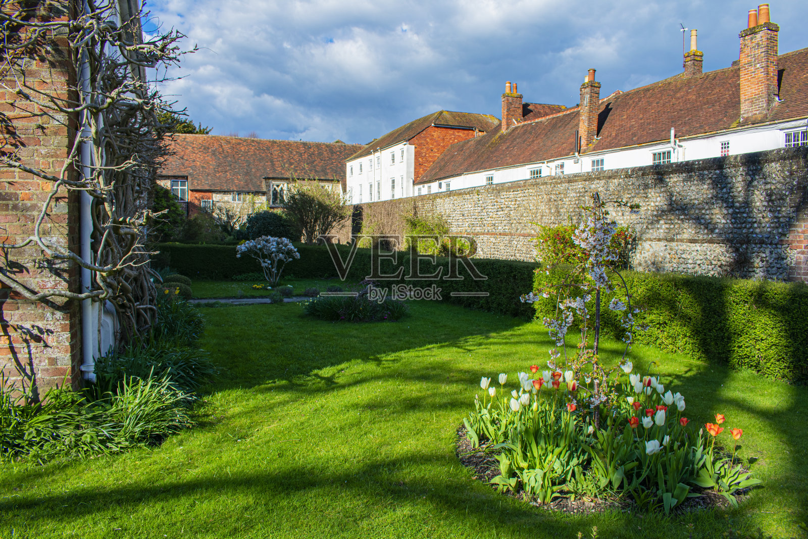 英国，英格兰，奇切斯特后花园照片摄影图片