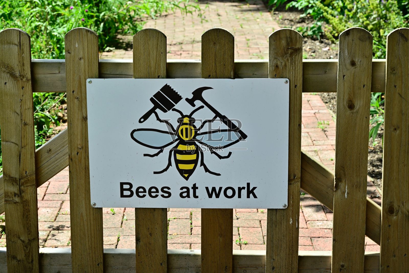 花园木栅栏上幽默的“蜜蜂在工作”标志。照片摄影图片