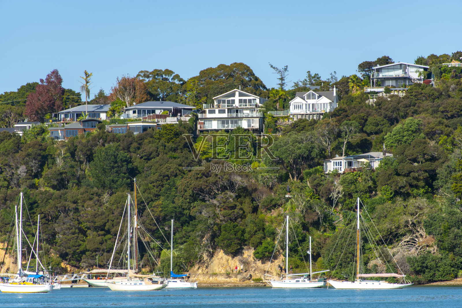 岛屿湾的住宅照片摄影图片