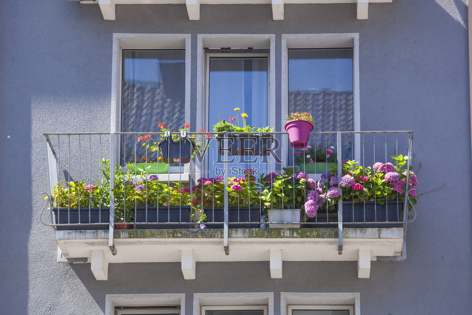 德国，不来梅，一座现代住宅楼的阳台上有花箱、五颜六色的花和窗户照片摄影图片