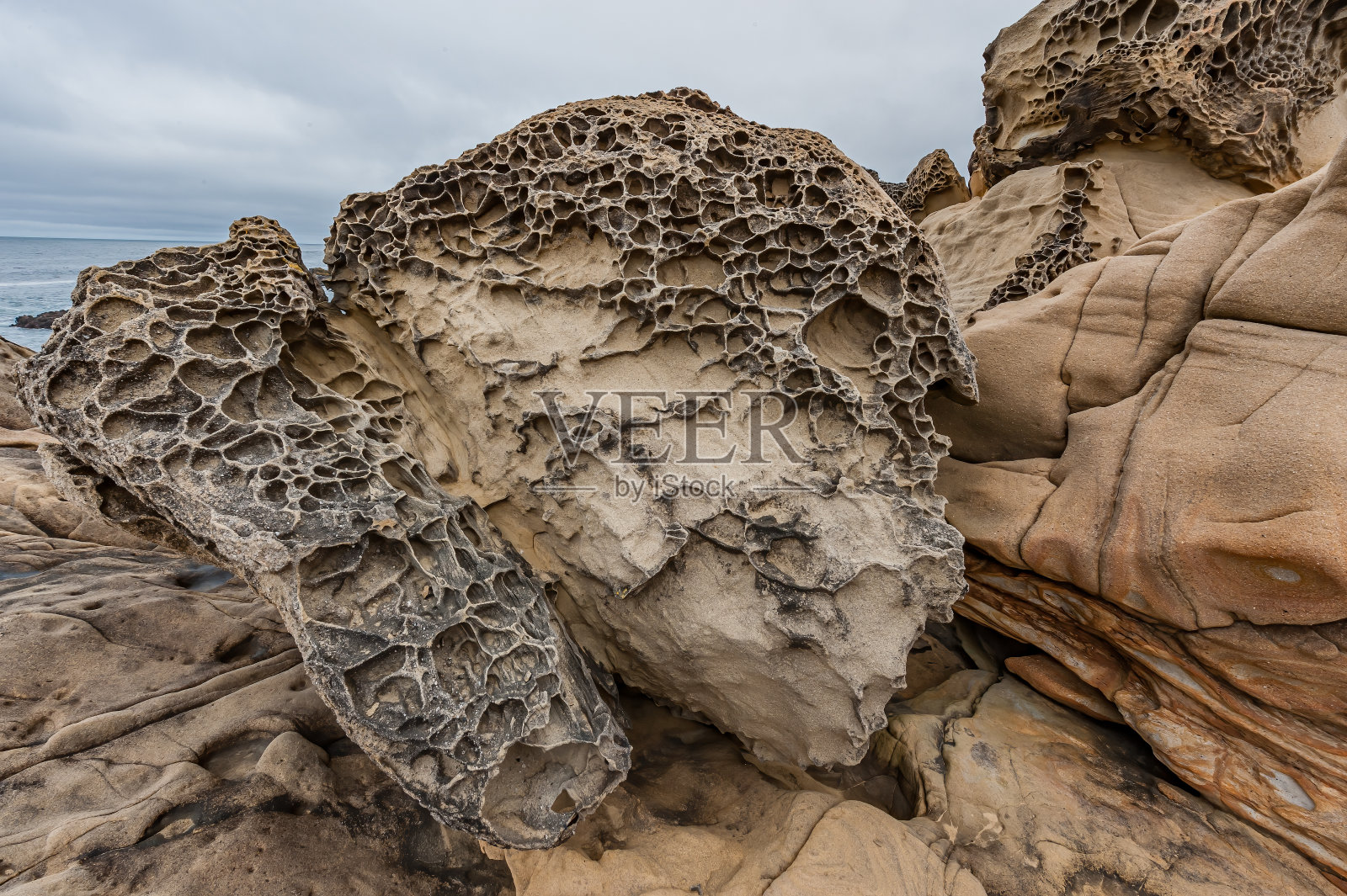 沉积岩中的塔福尼组，由于海浪和盐雾的风化而形成的蜂窝状网络，德国兰乔组，盐点州立公园，索诺玛县，加利福尼亚州。太平洋。照片摄影图片