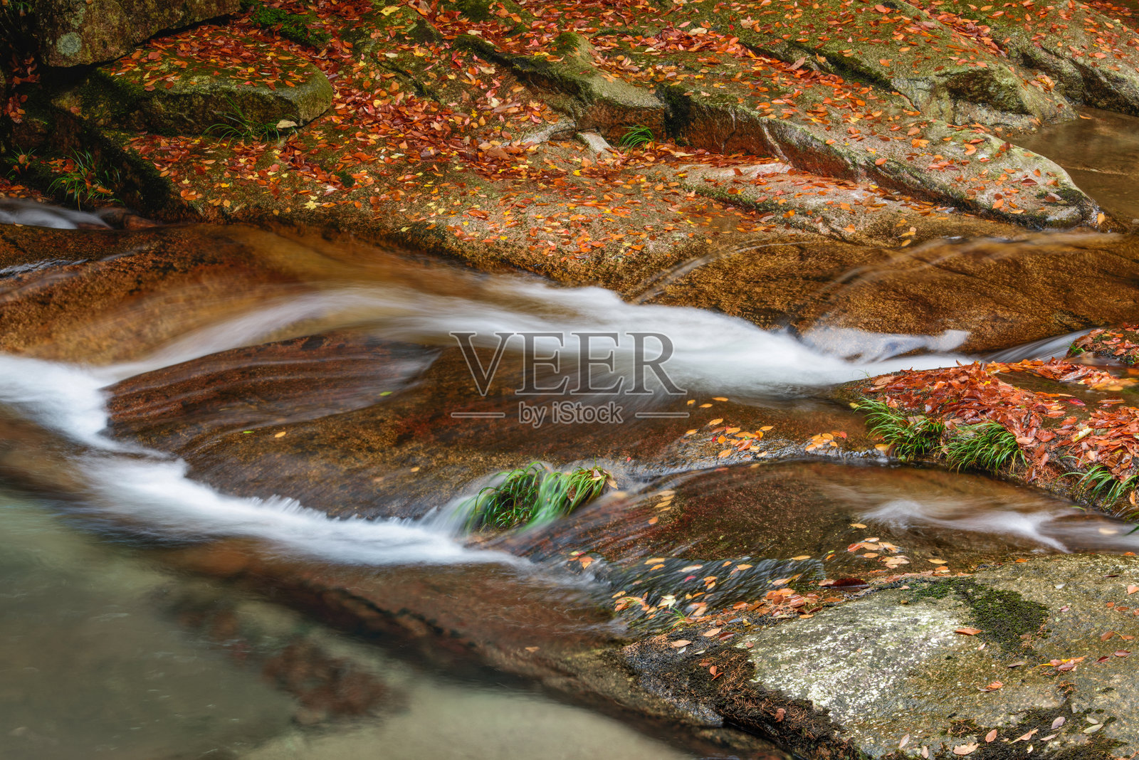 中国四川省巴中市南江县光武山红叶照片摄影图片