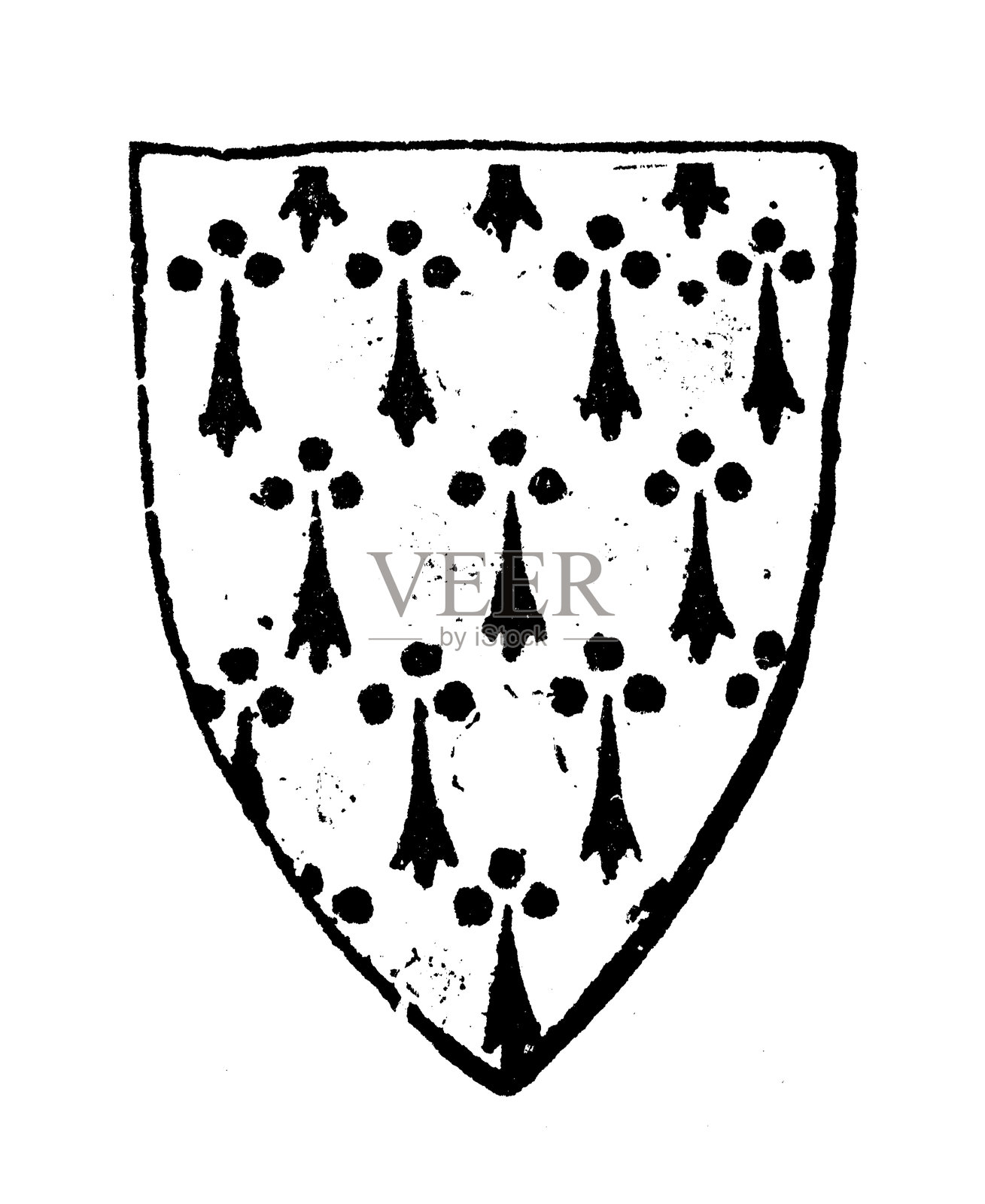 纹章大衣和国旗元素:酊剂，银鼠插画图片素材