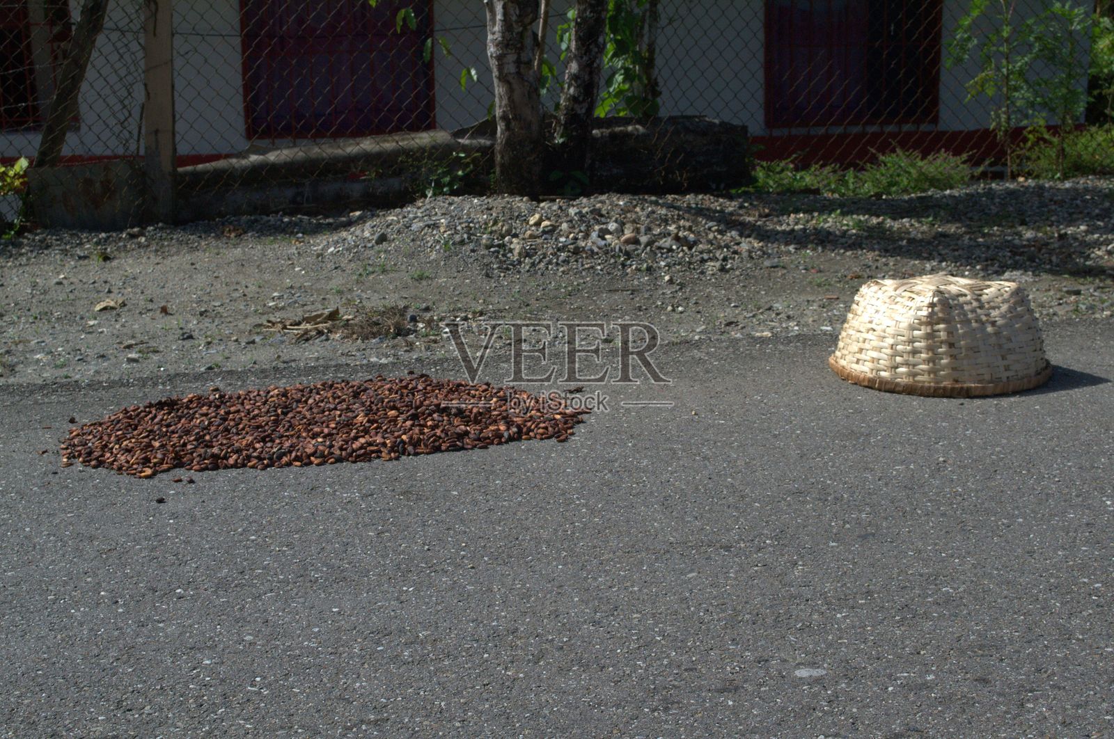 委内瑞拉米兰达州的典型食物。照片摄影图片