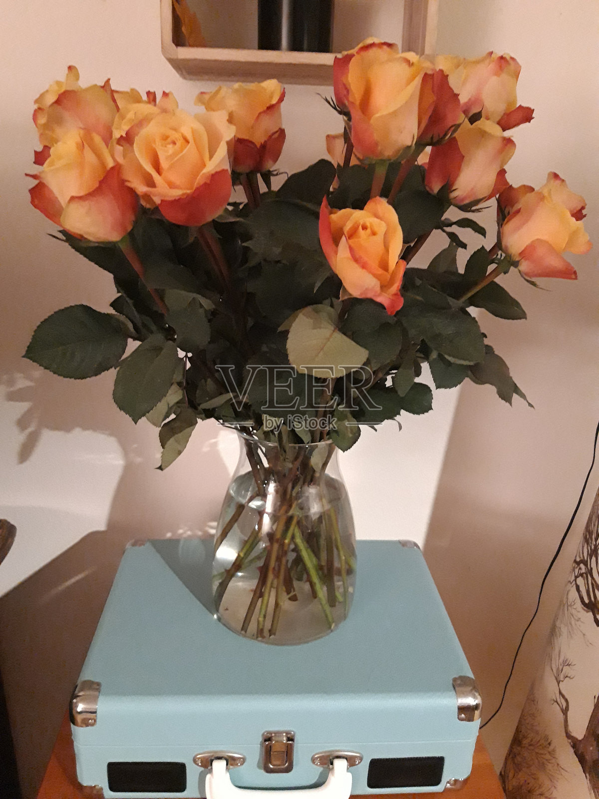 玫瑰花束照片摄影图片