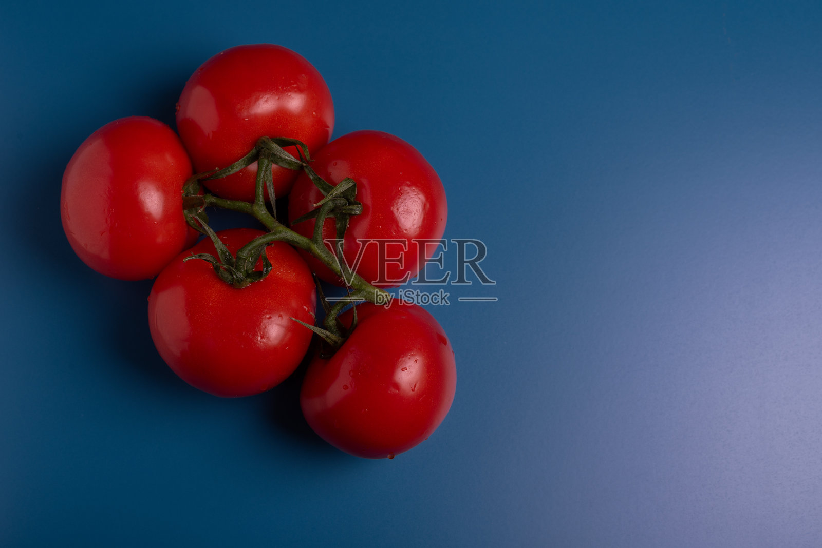 有机成熟蔬菜，蓝色背景的红色西红柿照片摄影图片