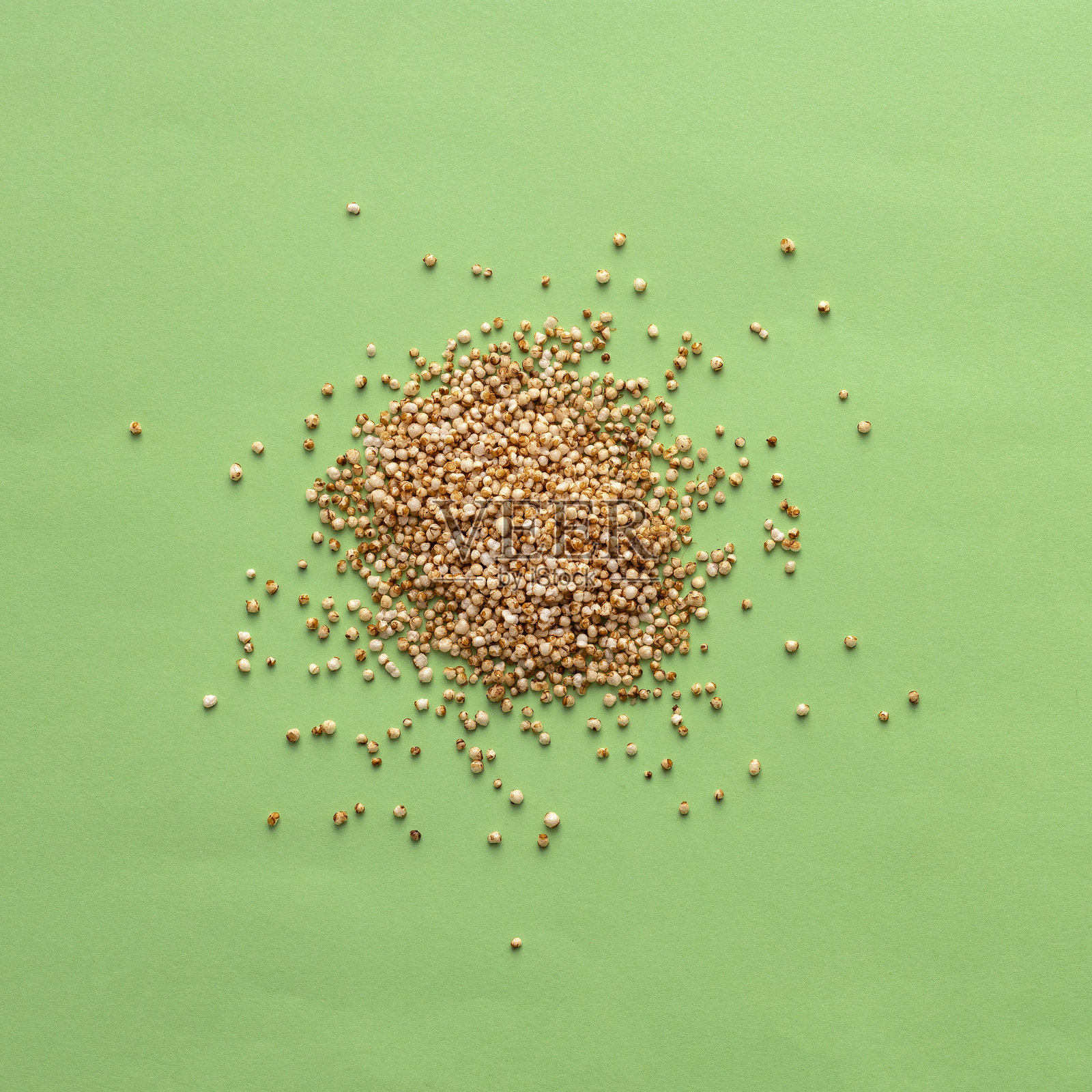 祖先苋菜的有机流行种子-苋菜。照片摄影图片