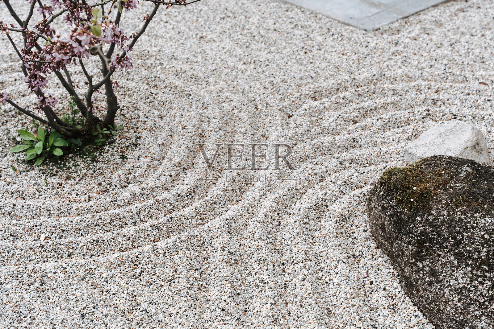 灵性和纯净的石头在沙圈水疗背景禅宗花园的概念放松集中和冥想照片摄影图片