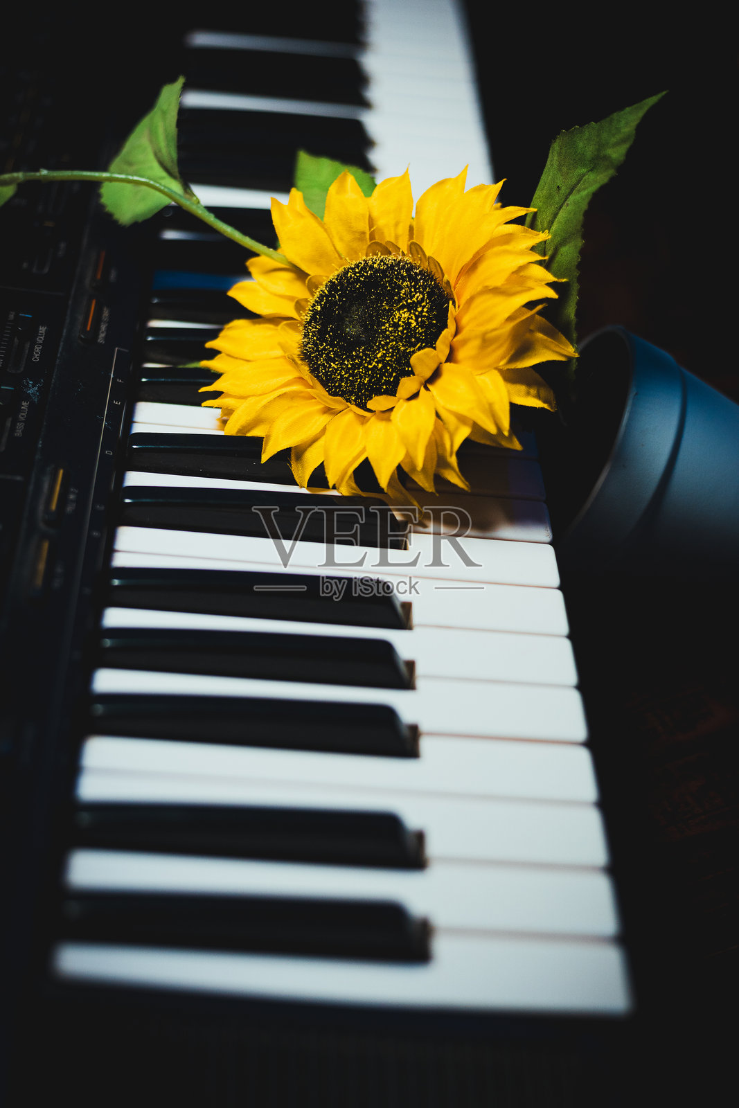 向日葵和键盘照片摄影图片