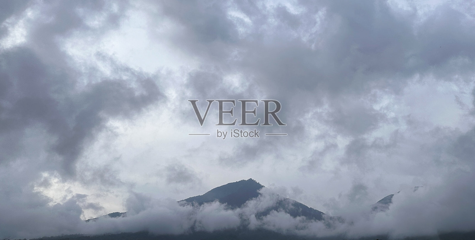 一杯温暖舒适的茶，与清凉宁静的稻田相遇照片摄影图片