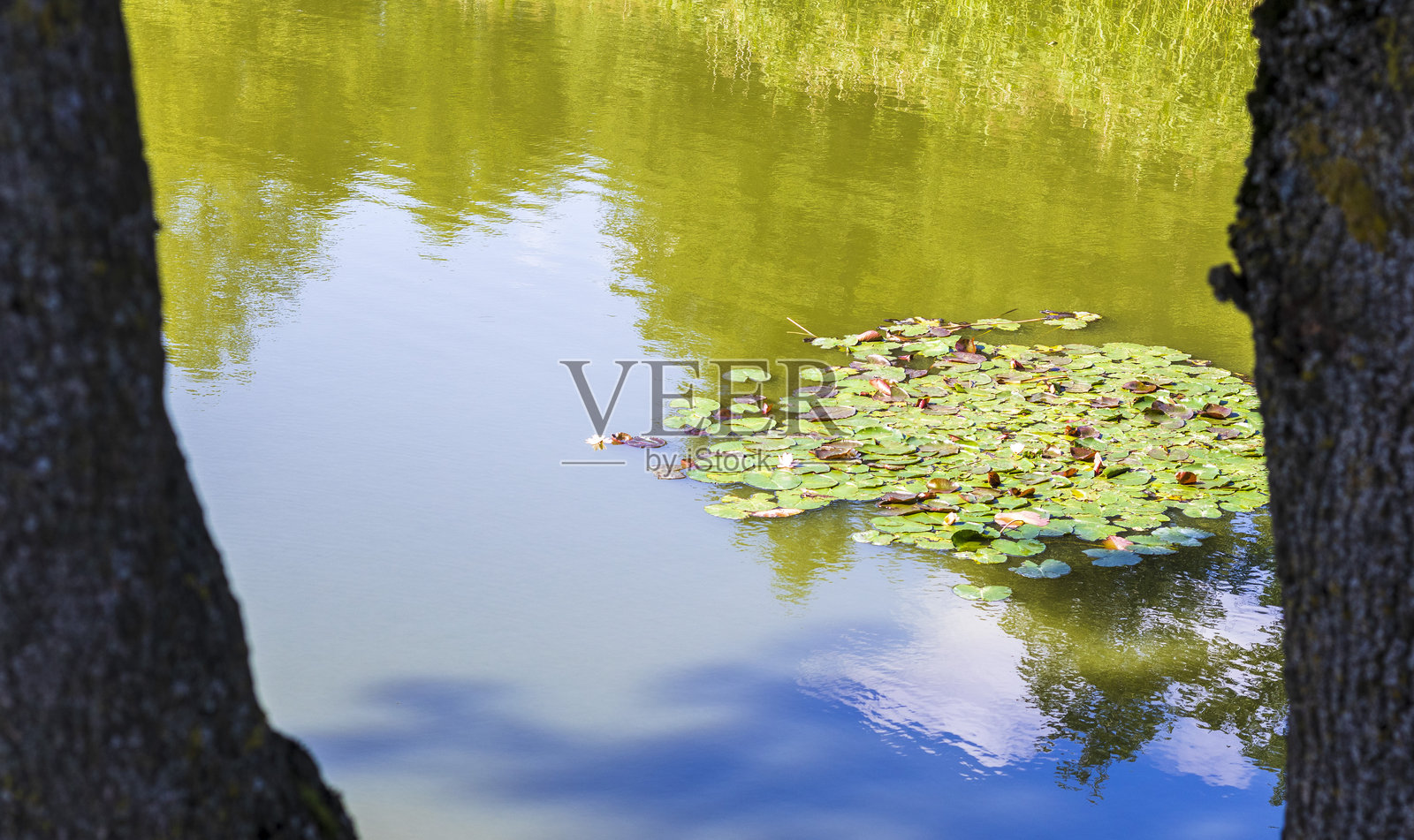 湖的风景照。自然照片摄影图片