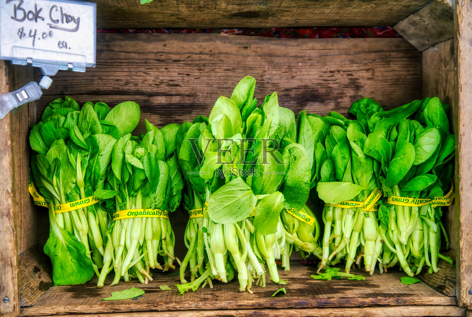 菜市场里的白菜照片摄影图片